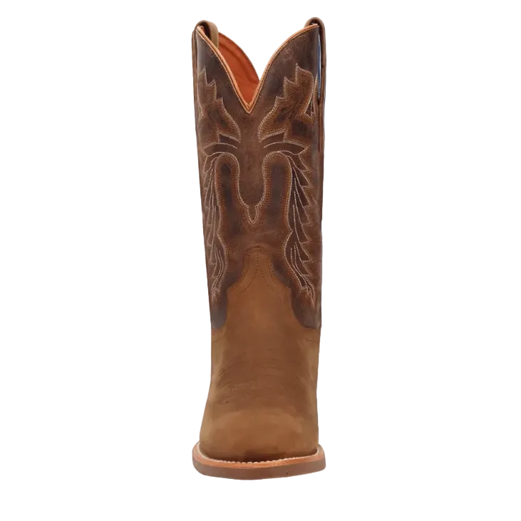 A single brown leather cowboy boot shown from the back against a dark blue background, with decorative stitching on the shaft and a Dan Post logo watermark in the lower-left corner.